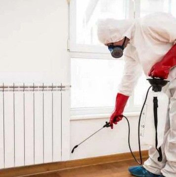 أفضل شركة مكافحة الرمة في الظيت الشمالي