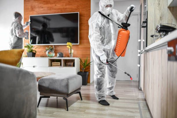 شركة مكافحة الرمة في المنيعي راس الخيمة