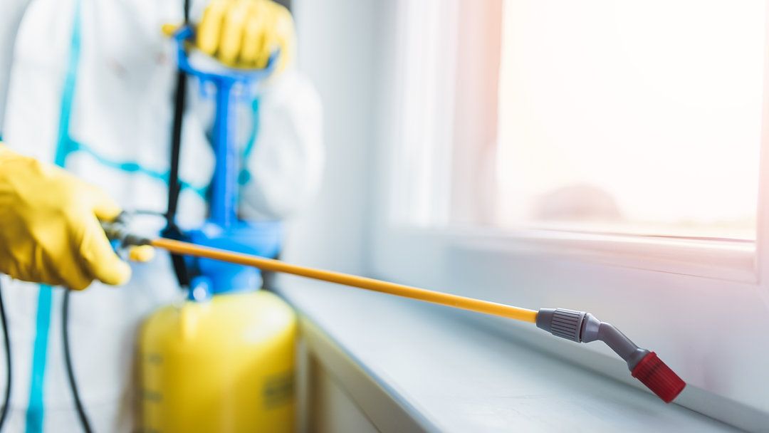 شركة مكافحة الرمة في جلفار