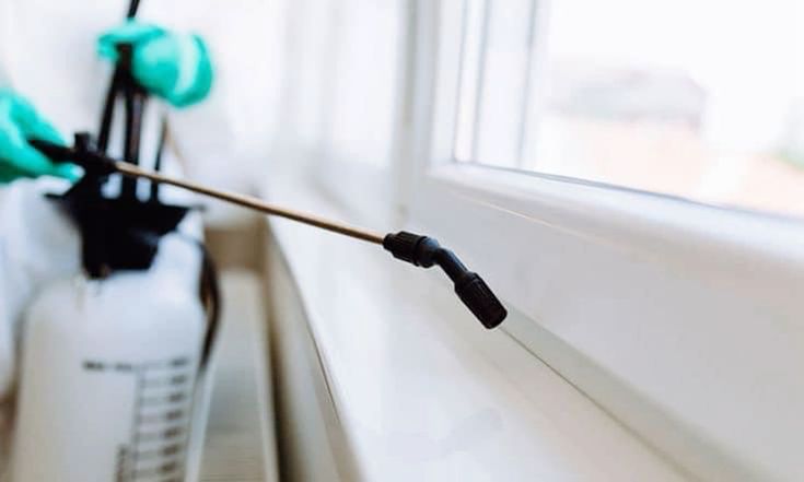 مكافحة الرمة في المنيعي لضمان عدم عودتها