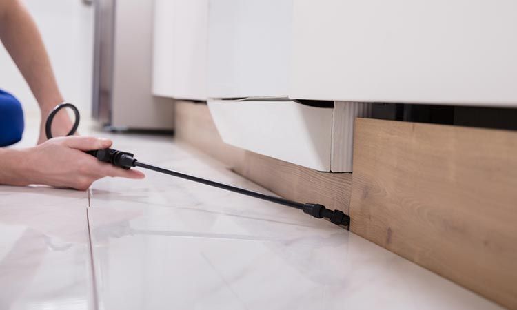 مكافحة الرمة في جلفار