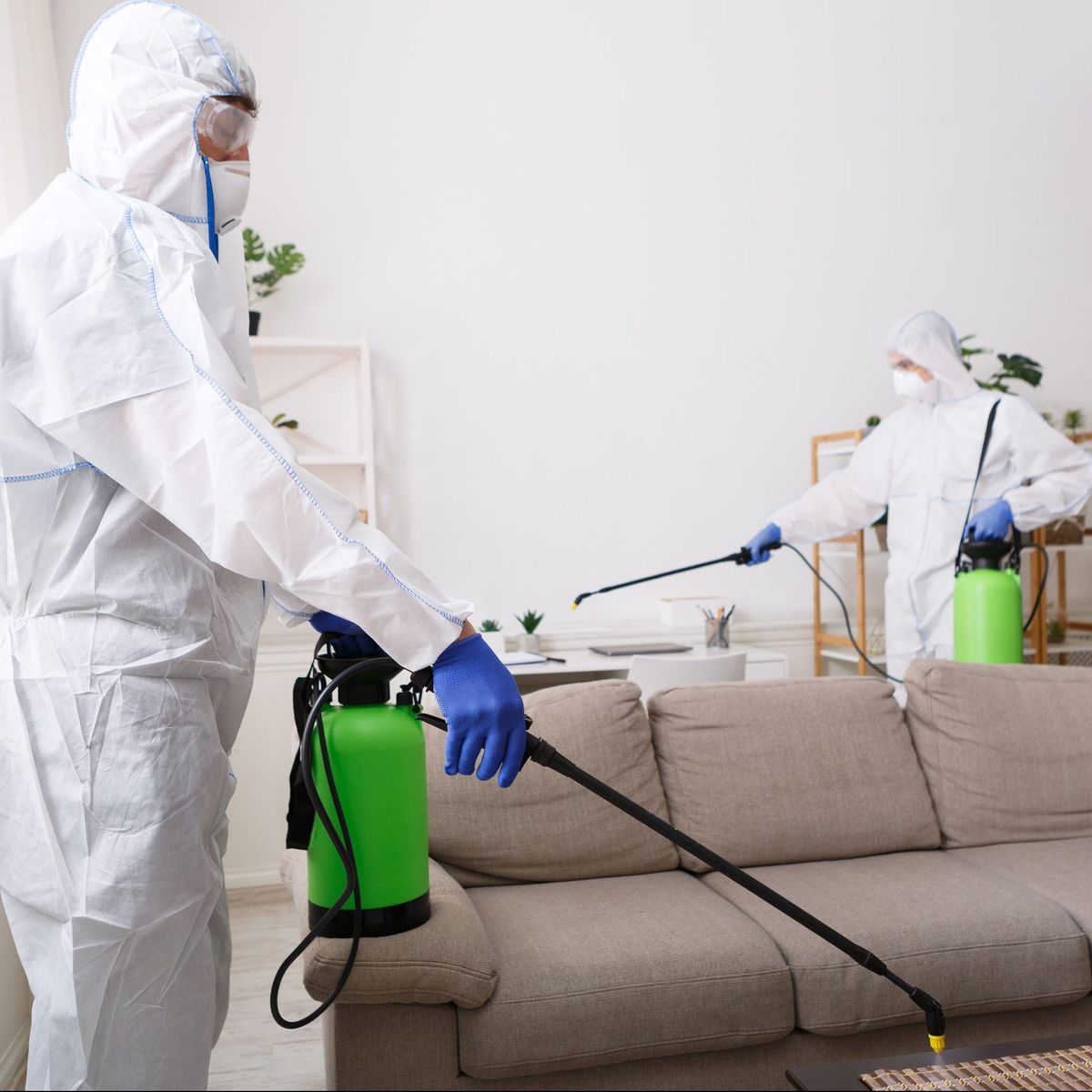 أفضل شركة مكافحة الرمة في أم سقيم