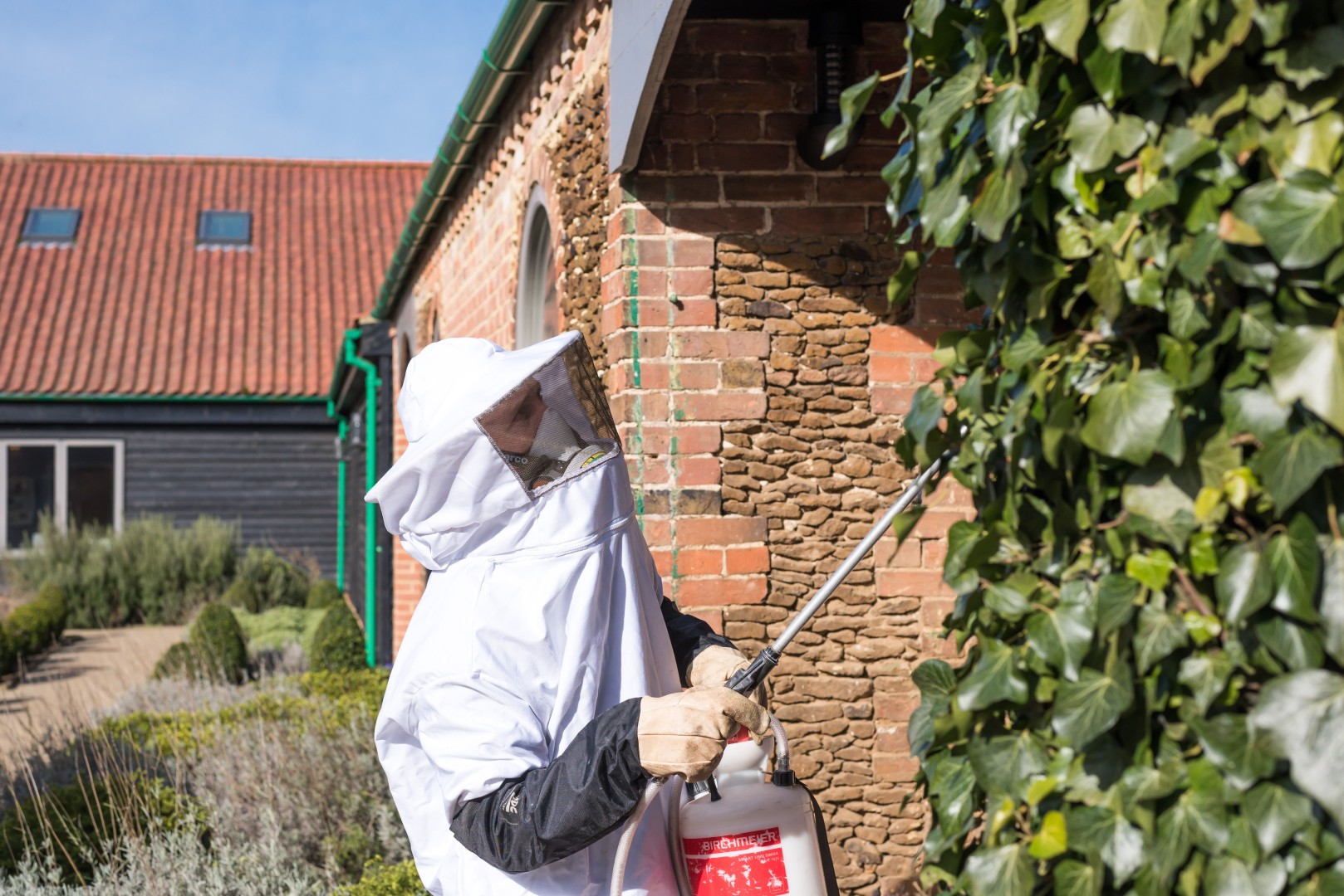 شركة مكافحة النحل والدبابير في دبي