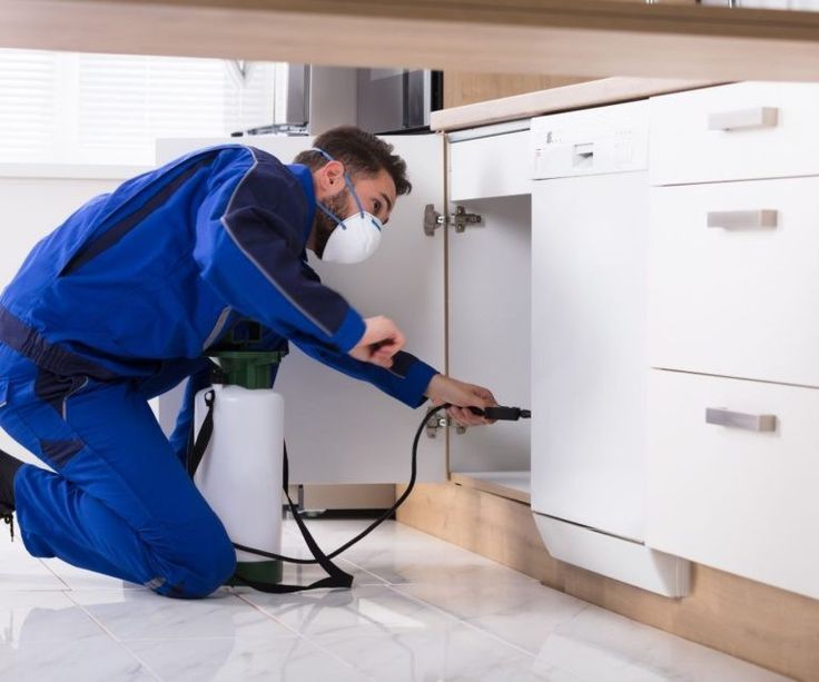 مكافحة الرمة