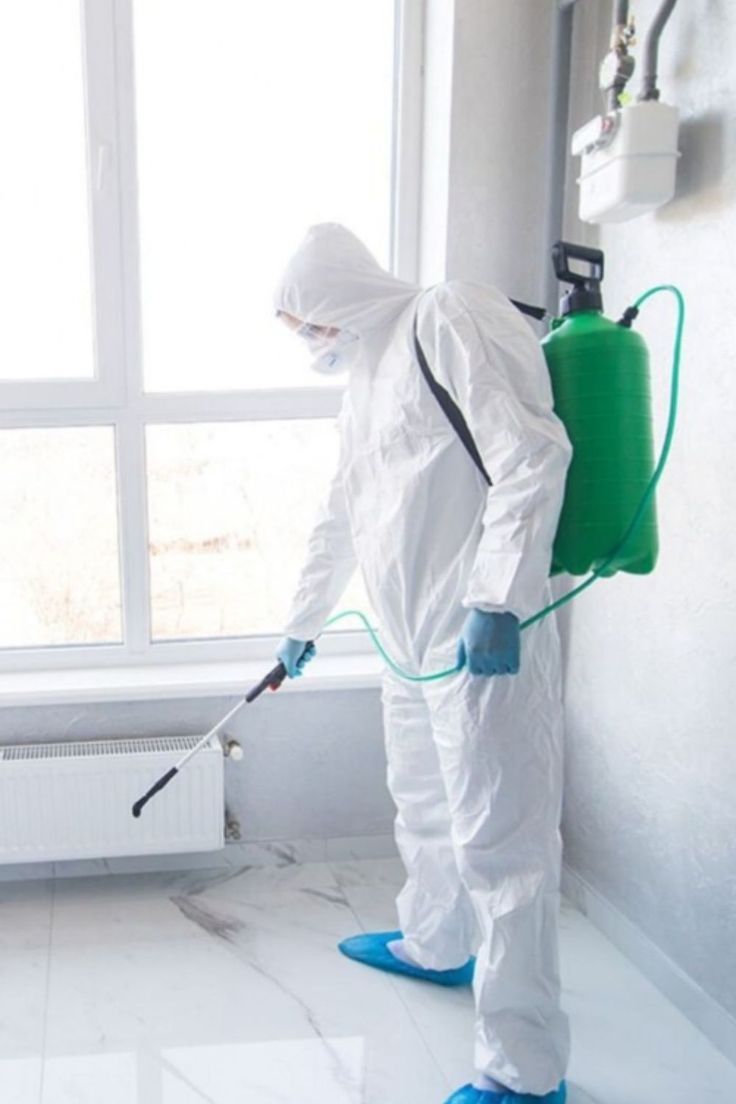 شركة مكافحة الفئران في ابوظبي