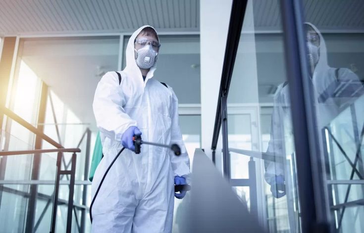 شركة مكافحة النمل في ابوظبي