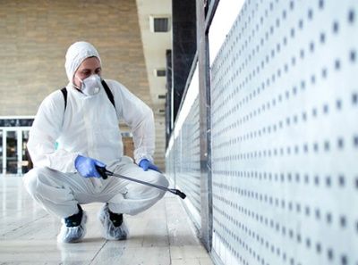 شركة مكافحة النمل في ابوظبي