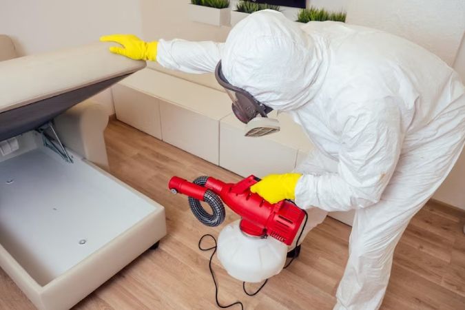 مكافحة الفئران آمنة داخل المنازل المأهولة