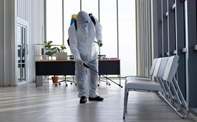 شركة مكافحة حشرات بالضمان في ليوا