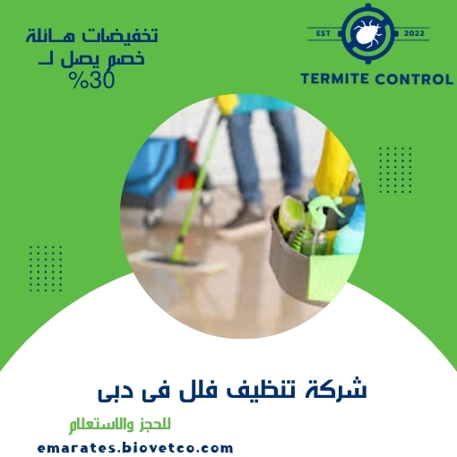 شركة تنظيف فلل فى دبى
