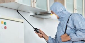 ارخص شركة مكافحة الرمة في العين