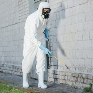 افضل طريقة للتخلص من الصراصير في ابوظبي