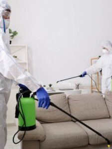 اقوى رش للصراصير في ابوظبي