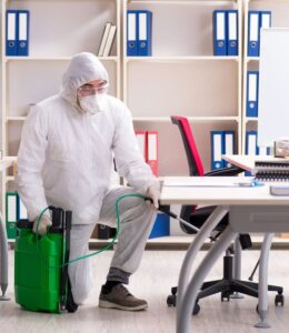 التخلص من الصراصير في ابوظبي