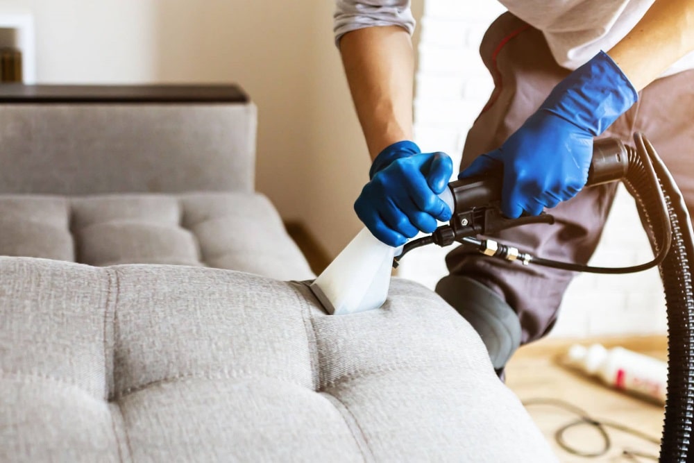 شركة تنظيف فى الفجيرة