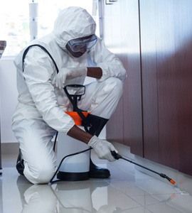 شركة مبيدات حشرية في راس الخيمة