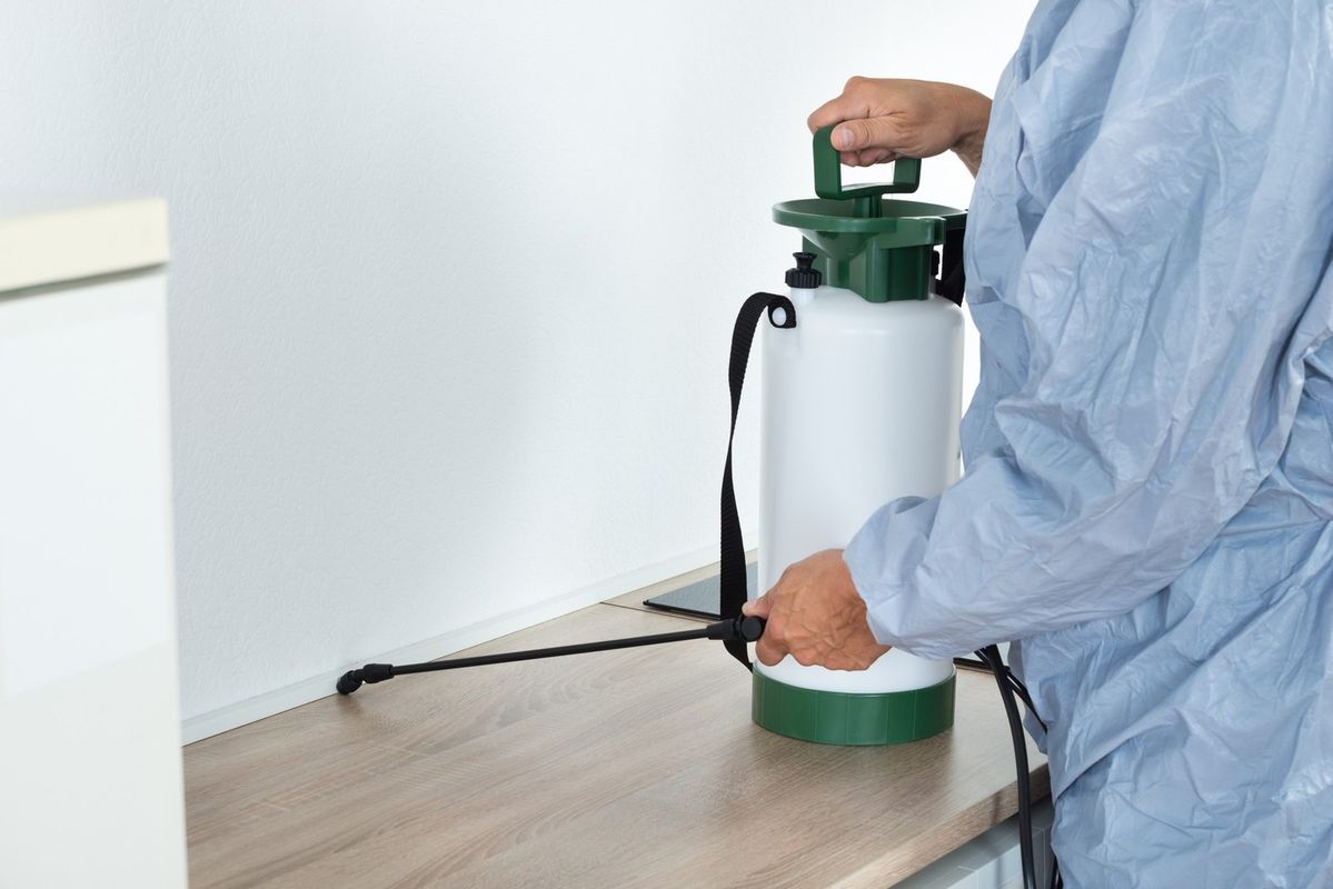 شركة مكافحة الرمة في ابوظبي