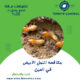 مكافحه النمل الابيض في العين    