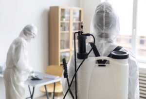 شركة مكافحة العناكب في ابوظبي