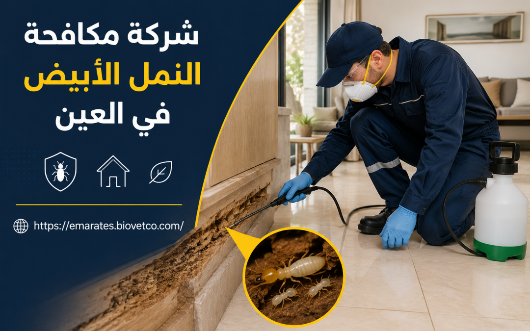 شركة مكافحة النمل الأبيض في العين