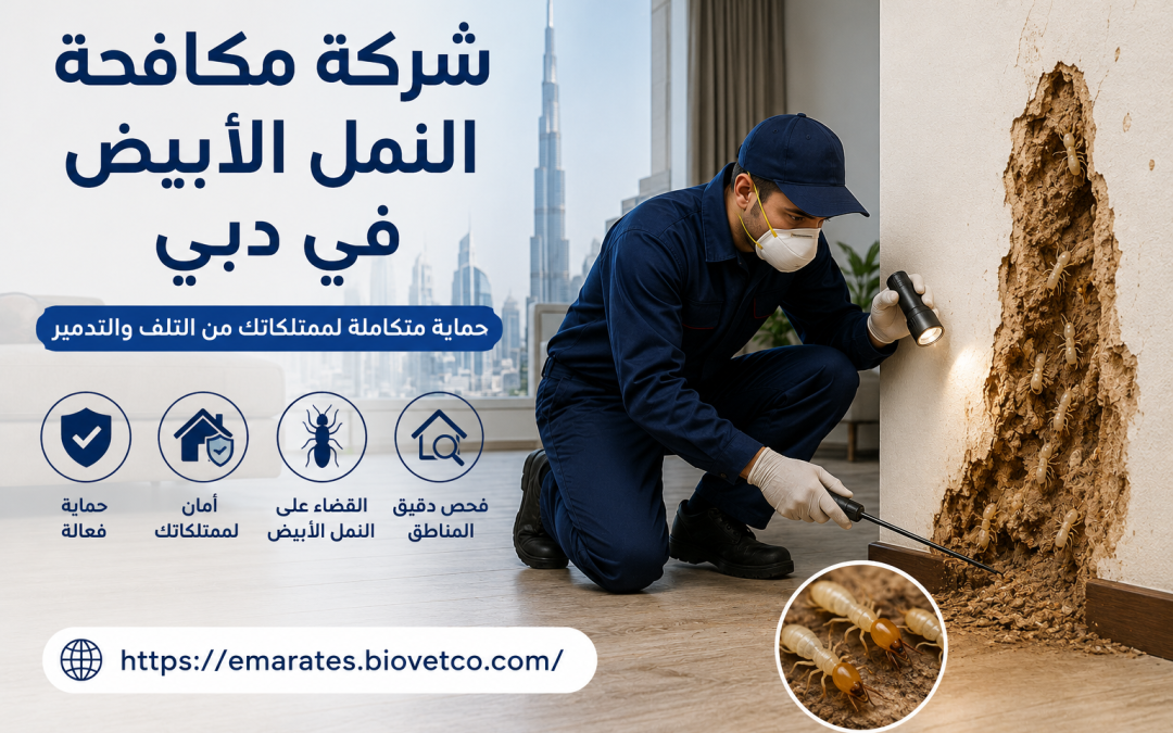 شركة مكافحة النمل الابيض في دبي