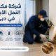 شركة مكافحة النمل الابيض في دبي