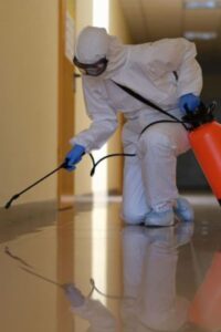 طرد الصراصير من المنزل في ابوظبي