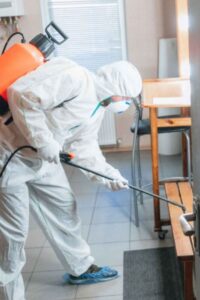 طريقة التخلص من الصراصير في ابوظبي