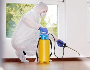 طريقة امنة للتخلص من الصراصير في ابوظبي