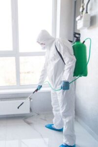 كيفية القضاء على الصراصير في ابوظبي