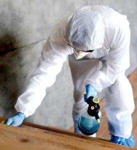 مبيد الرمه في الخشب في العين