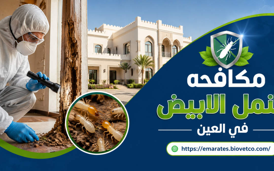 مكافحه النمل الابيض في العين    