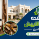 مكافحه النمل الابيض في العين    