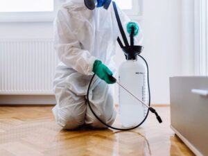 التخلص من الصراصير