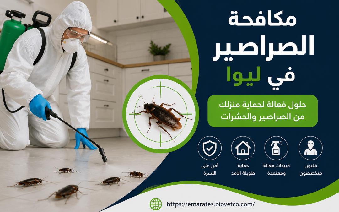 شركة مكافحة الصراصير في ليوا