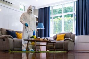 للتخلص من الصراصير في المنزل للأبد في راس الخيمة