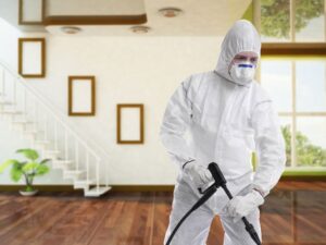 مكافحة الفئران