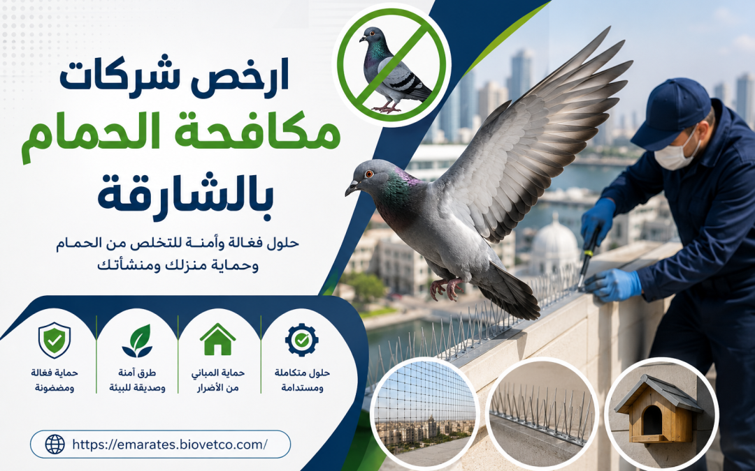ارخص شركات مكافحة الحمام بالشارقة