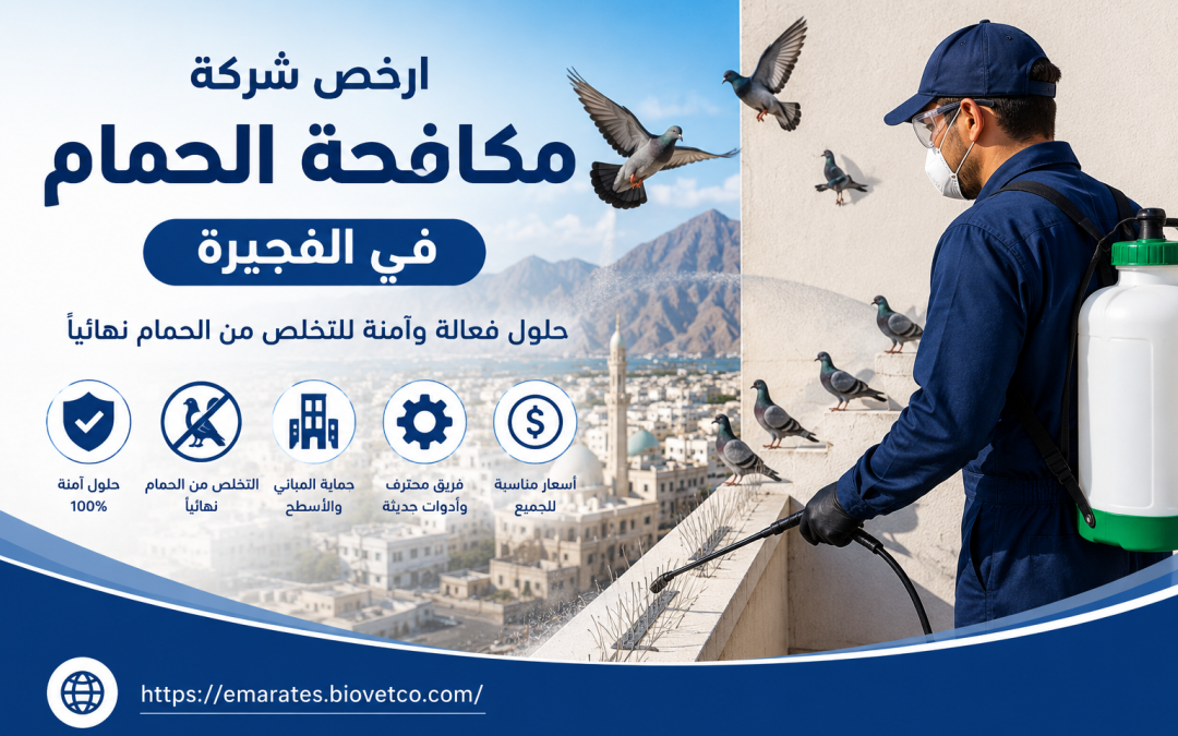 ارخص شركة مكافحة الحمام في الفجيرة