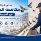 ارخص شركة مكافحة الحمام في الفجيرة