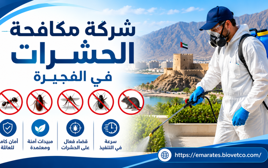 شركة مكافحة الحشرات في الفجيرة