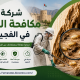 شركة مكافحة الرمة في الفجيرة